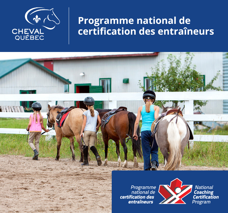 Instructeur PNCE/CE Équitation classique au plat